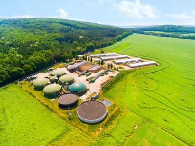 Biomass: Renewable Energy Source Image